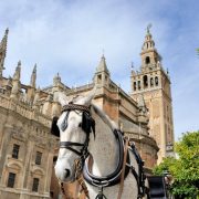 que ver en sevilla en 3 dias