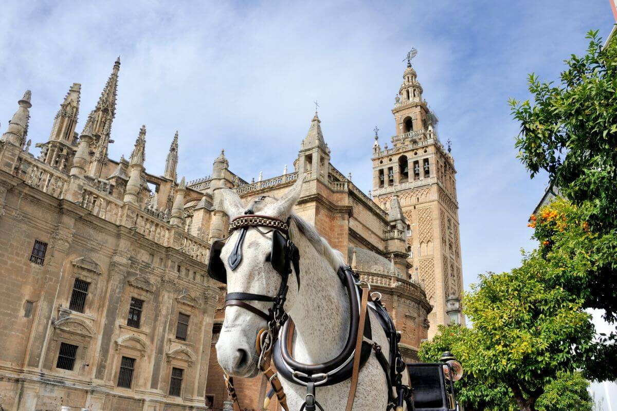 que ver en sevilla en 3 dias